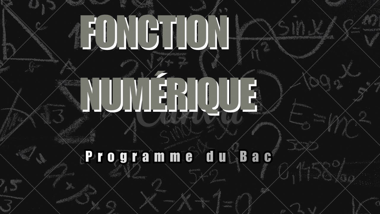 {FONCTION NUMÉRIQUE DU BAC📚}