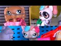 Lps My Hopeless Romance SERIES FINALE part 1/2 {"If Only It Were That Simple"}