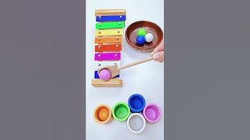 Color Sorting ASMR#asmr#funny#video#youtube#ytshorts