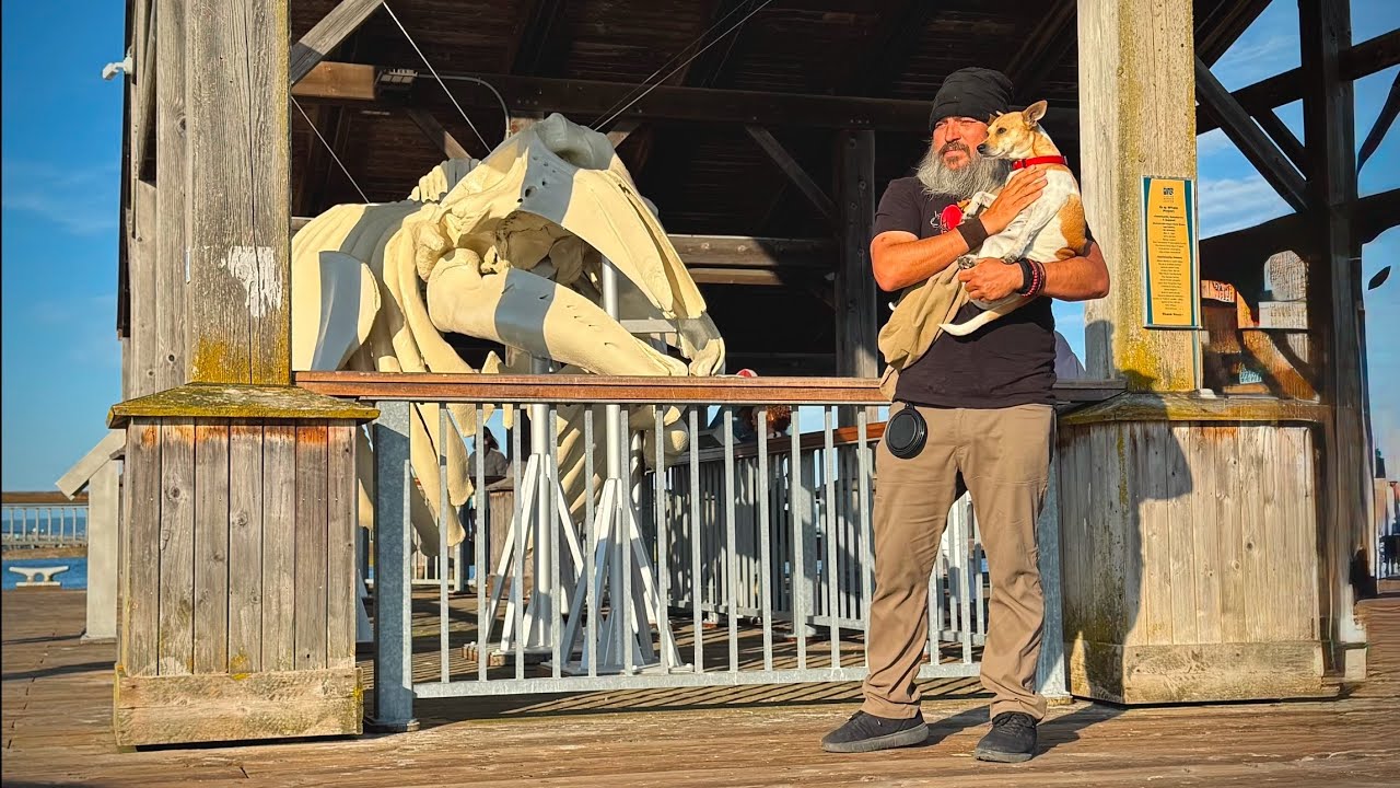 Walkabout: Port Townsend, Washington | 24 JUL 2025