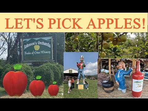 Fall Apple Picking at Johnson’s Orchard Bedford, VA - YouTube