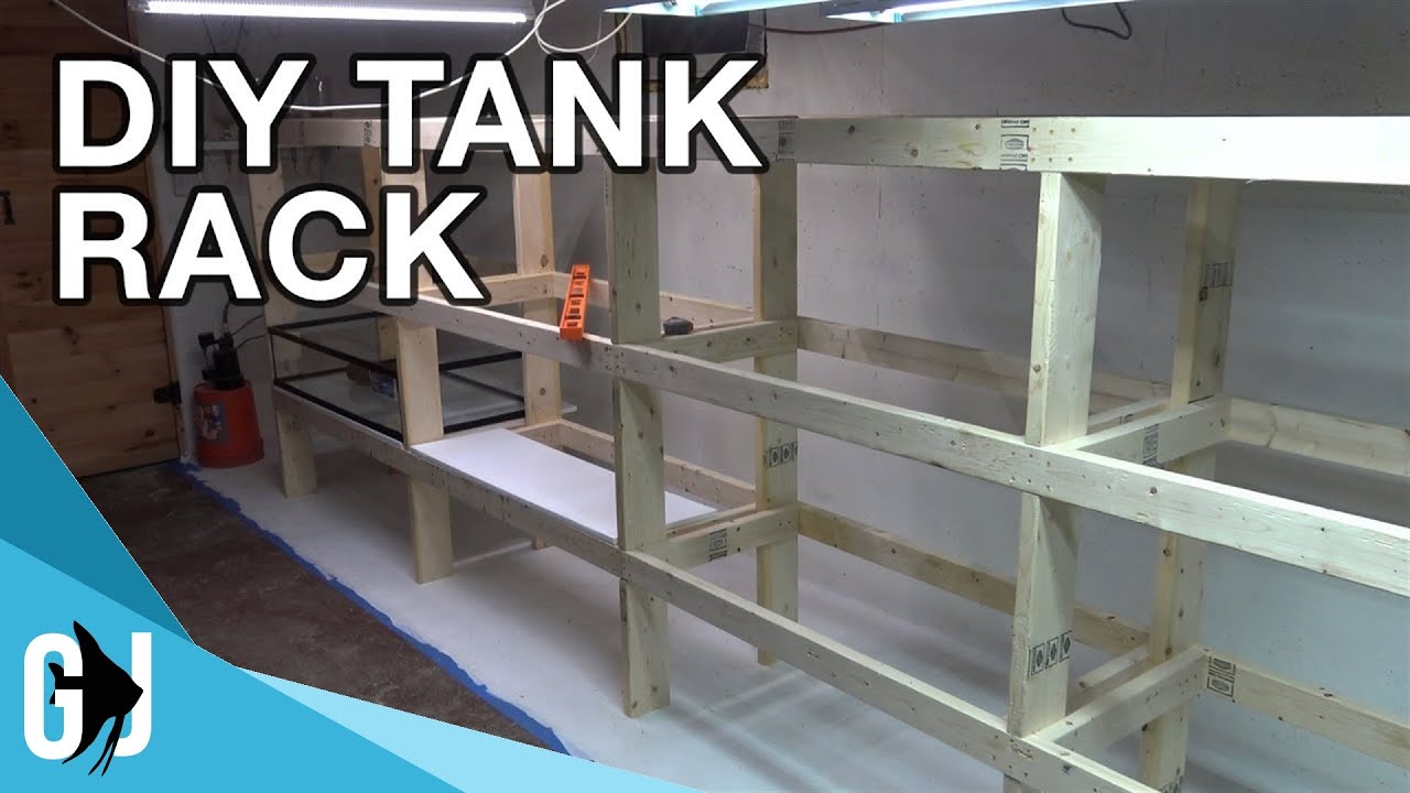 594: HOW TO: DIY DADO CUT AQUARIUM RACK TIMELAPSE BUILD - Update