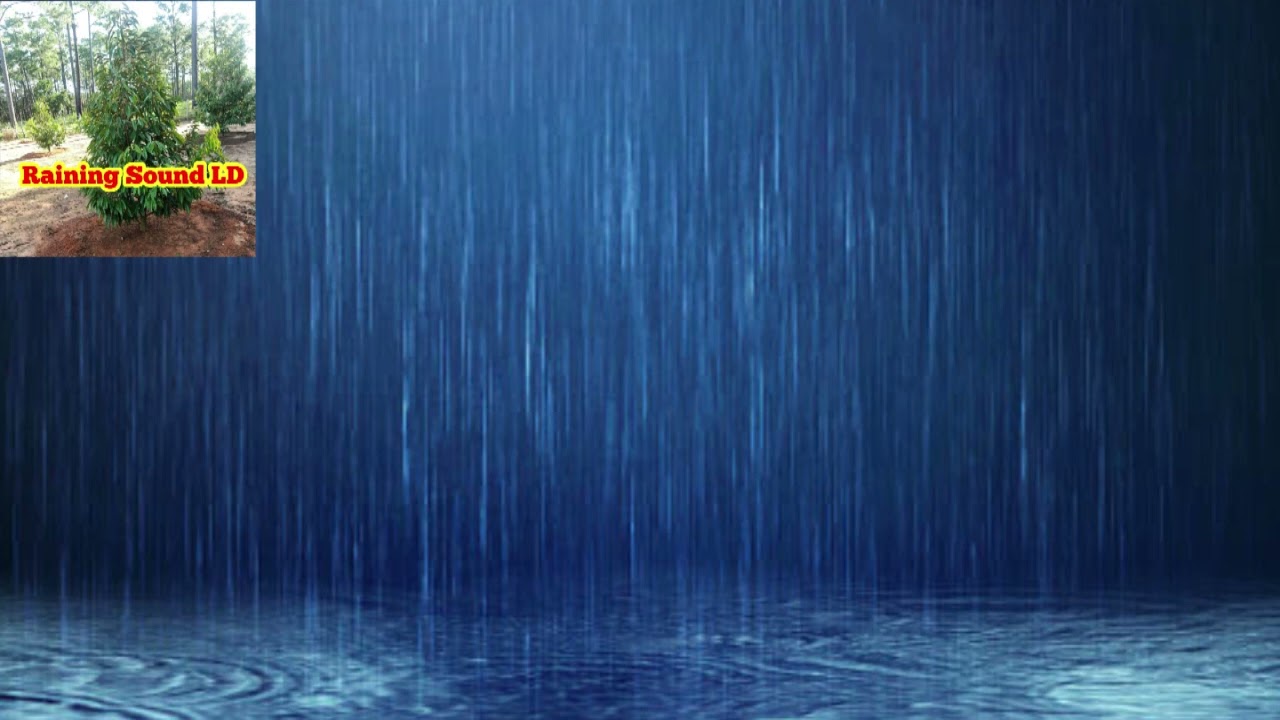 24h Rain sound LDY, Rain sound for sleeping,rain soud for relaxed,Rain,sleep,relaxe.rain,