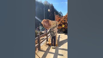 The process of loading logs into the truck