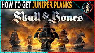 How to Get Juniper Planks - Skull and Bones