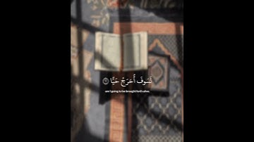 سورة مريم | القارئ : عبدالرحمن مسعد #استغفر_الله #لا_إله_إلا_الله #لاحول_ولا_قوة_الا_بالله