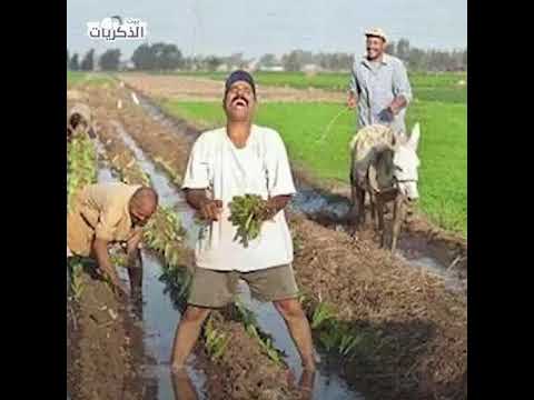 أبوي نصحني وقالي أمشي علي قدك