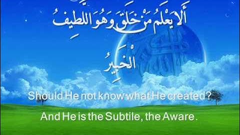 سورة الملك -الشيخ ياسر الفلكاوي.flv