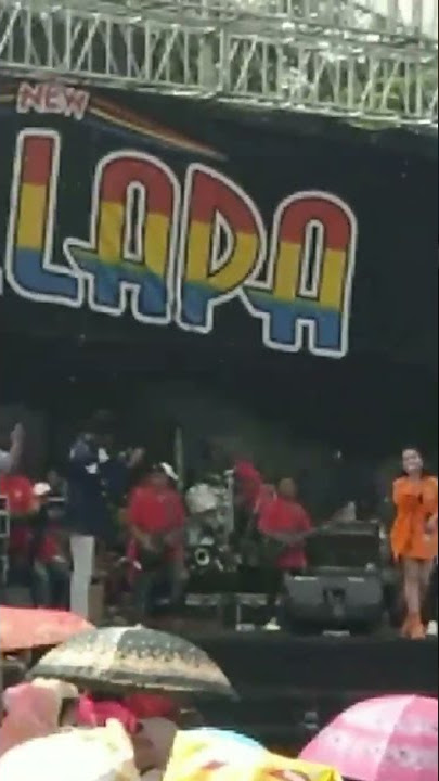 gang Dolly Lala Widi New Pallapa live Kedamaian Gresik