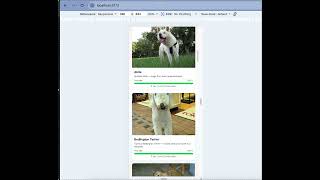 CMPE 285 PawMatch Ai Assisted Coding Exam