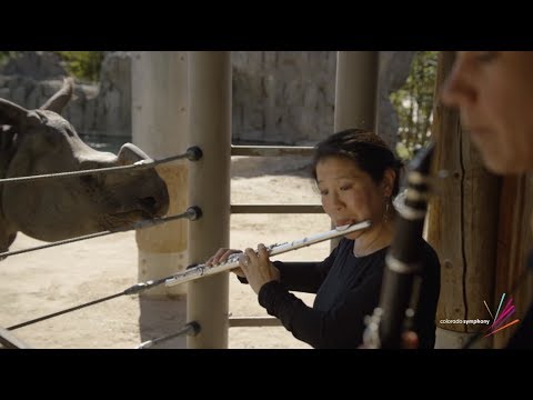 See Denver Zoo’s Rhino React to LIVE Music from the Colorado Symphony