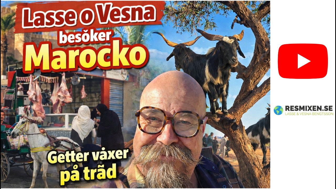 Kryssningen tar oss till Afrika, Marocko ! Getter växer  på träd = sant ! Häng med på en härlig tur!