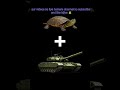 you plus turtle and military tank agar hamen kachhue aur ek military tank ko jode to yah kaise dekhe