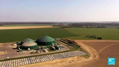 Renewable energy: France's biogas sector is booming • FRANCE 24 English