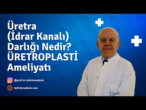 Üretra (İdrar Kanalı)
