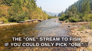 If I had to pick one stream to fish in Idaho - this is it! - p26