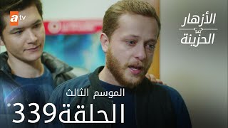 مسلسل الأزهار الحزينة | الحلقة 339 - الموسم الثالث