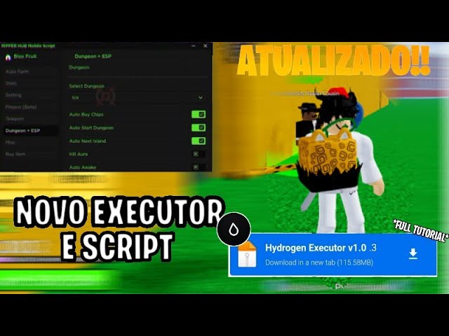 ✓ executor de script roblox pc COMO COLOCAR SCRIPT ROBLOX / BLOX FRUITS E A  CHAVE DE ATIVAÇÃO 