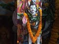 Moha Shiv Rati 2025 February.