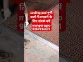 cooling pad मुर्गी फार्म में लगवाने के लिएसंपर्क करें munger agro 9304134431