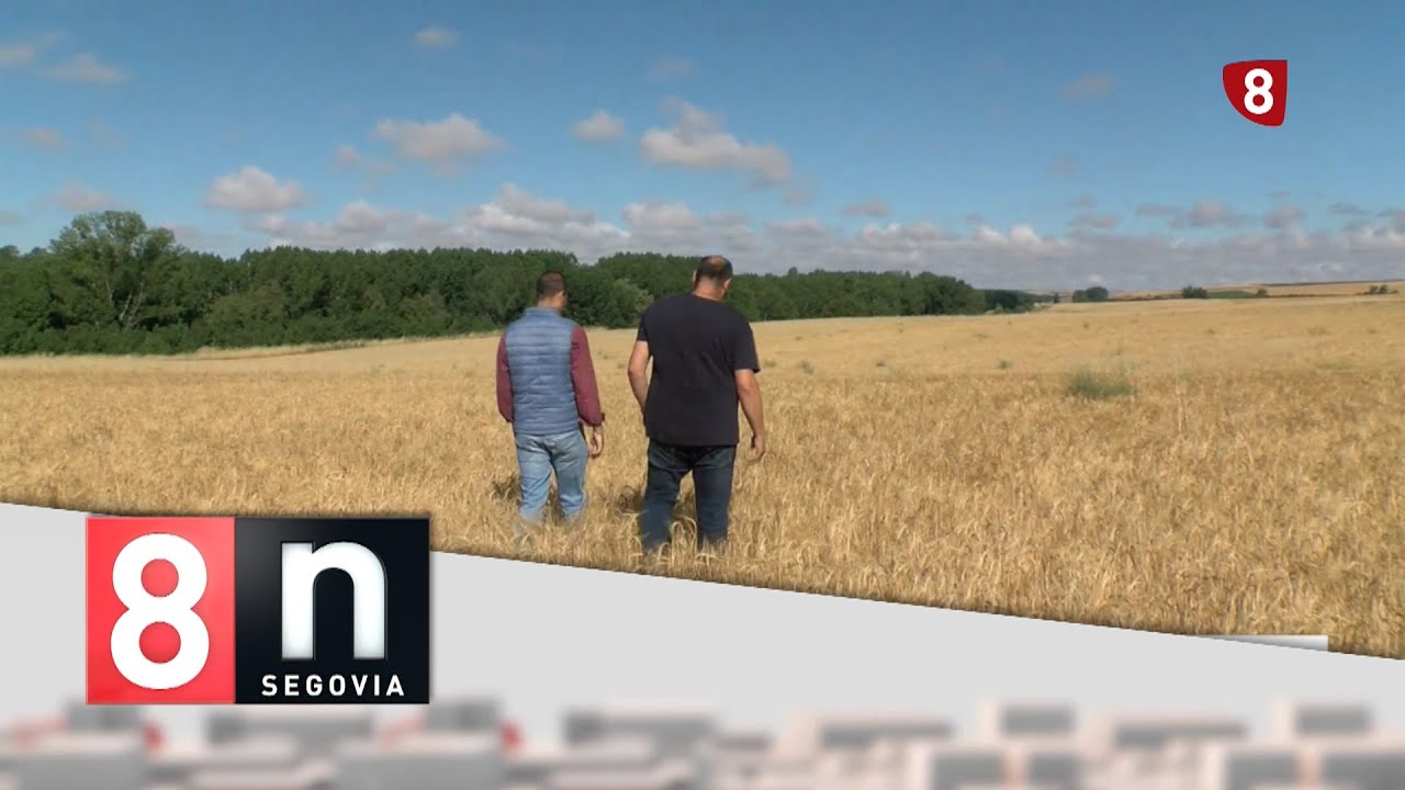 Noticias La 8 Segovia | Martes 23-12-2025