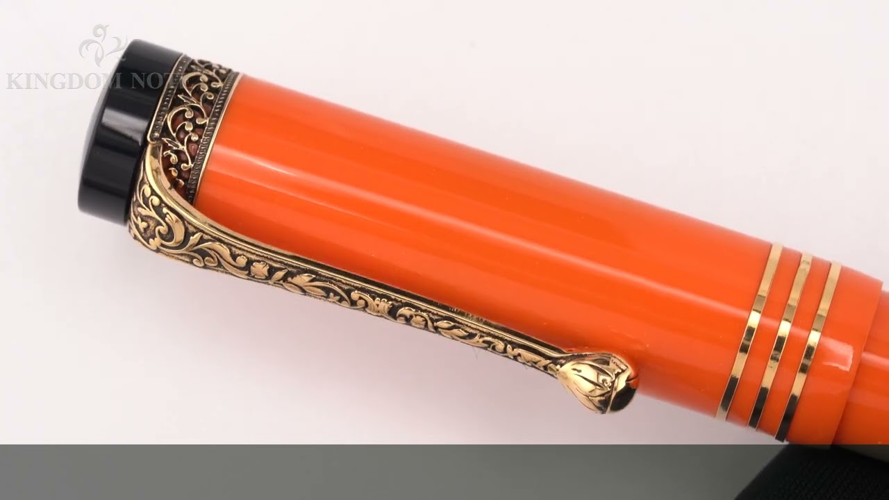 AURORA アウロラ 万年筆 リミテッドエディション セリエ