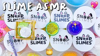 SATISFYING SLIME ASMR | Unboxing Snoop Slimes $150 Package