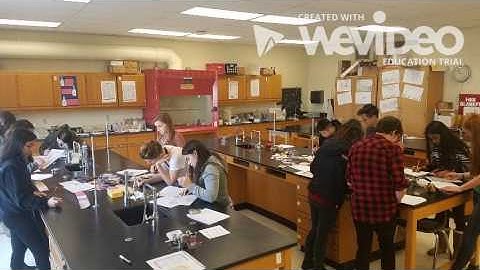 PBS Protein Synthesis Video
