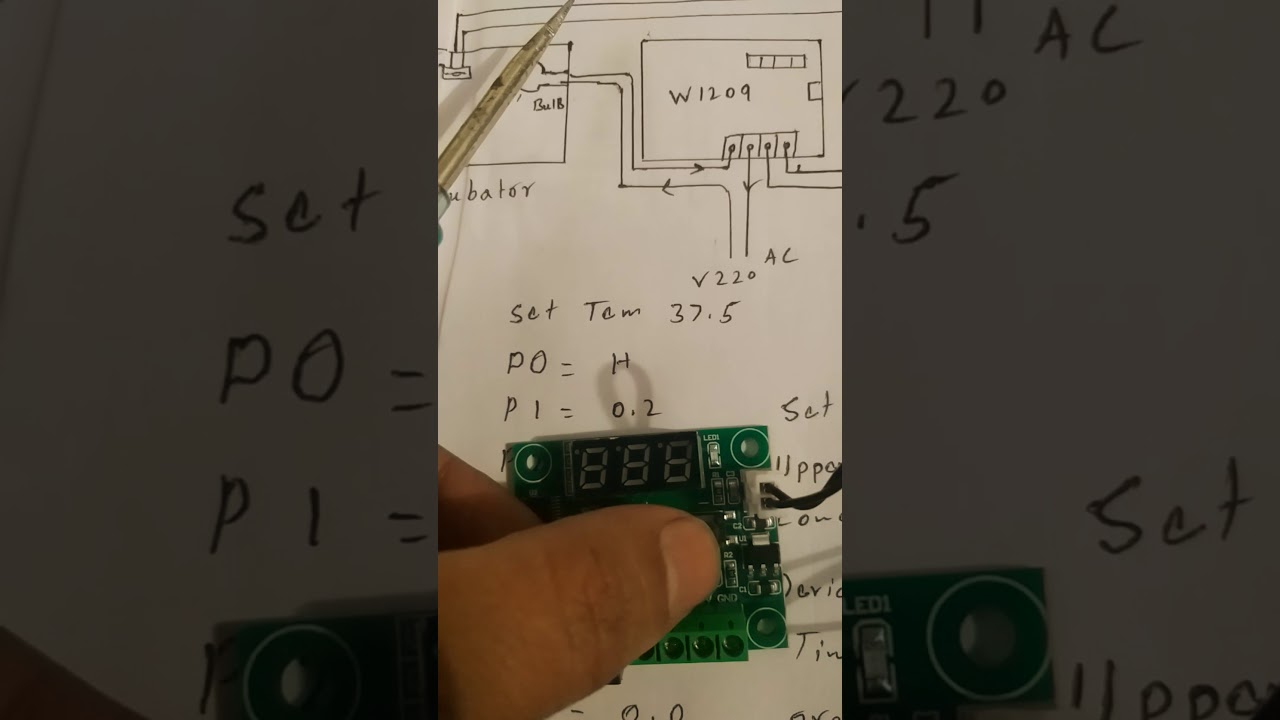 W1209 thermostat setting for incubator