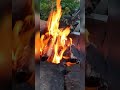 Ждём дачный сезон ✌️#video#будни#природа