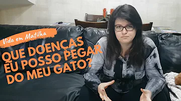 Quantas doenças O gato transmite?