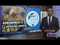 Possible budget cuts, closure of animal adoption center outlined in new Wakulla County contingenc...