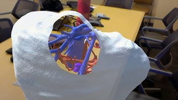 RadHA Software compilation