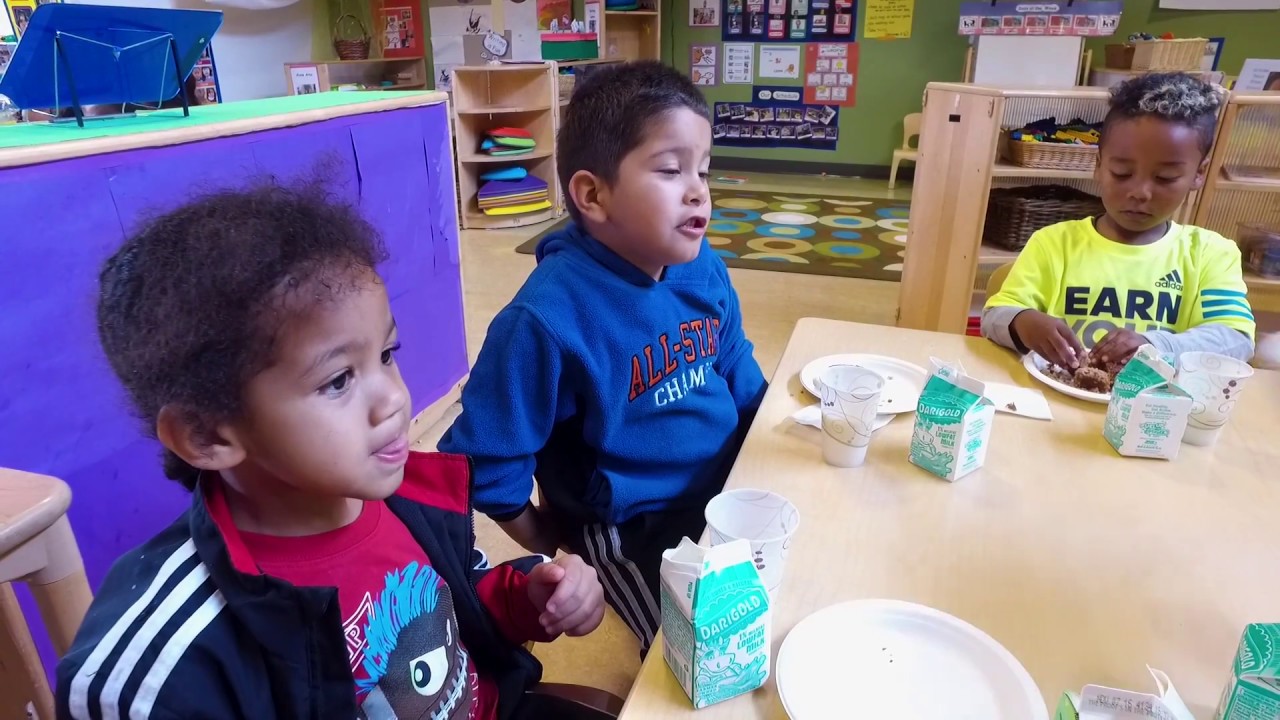 Preschool Teachers Career: Everything You Need To Know In One Min