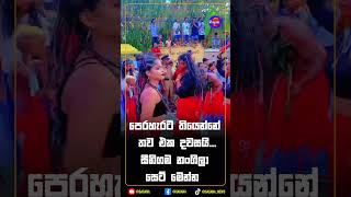 පෙරහැරට තියෙන්නේ තව එක දවසයි...සීනිගම නංගිලා සෙට් මෙන්න