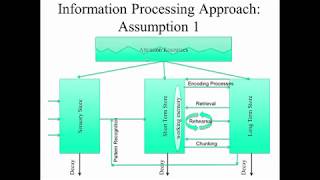 Cognitive Approaches To Psychology - Part 5