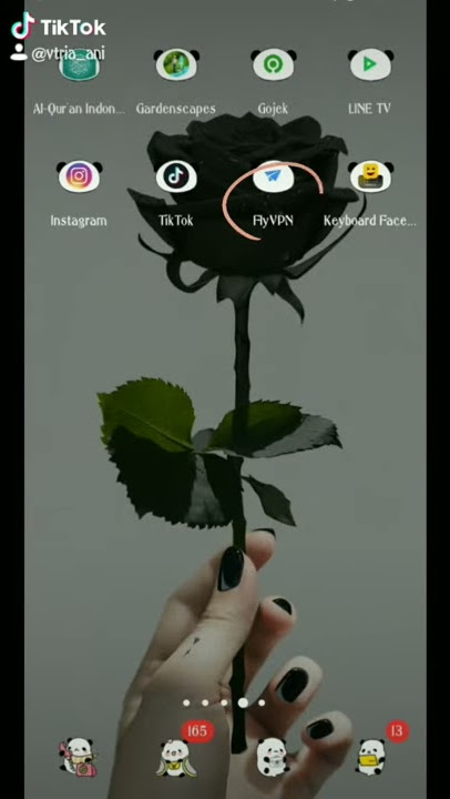 Cara gunakan fly vpn untuk LINE TV