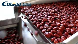 Colead hot-selling date palm washing production line