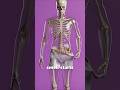What Happens If You DON’T Change Underwear for 30 Days 😱💀 #Shorts #Hygiene #Gross #facts