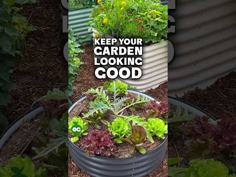 Keeping the garden fresh in late summer