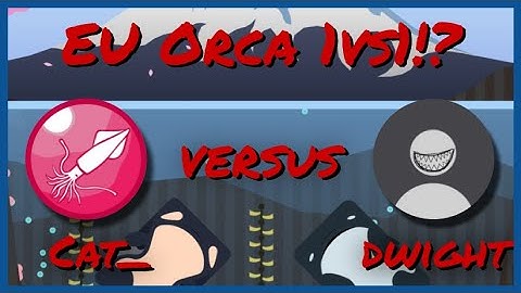 Orca 1v1 vs @wobblester in Deeeep.io - eat Fish, become the Shark!