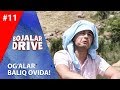 Bojalar Drive 11-son OG'ALAR BALIQ OVIDA!