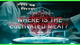Where is the cultivated meat? with MARK POST Net Worth