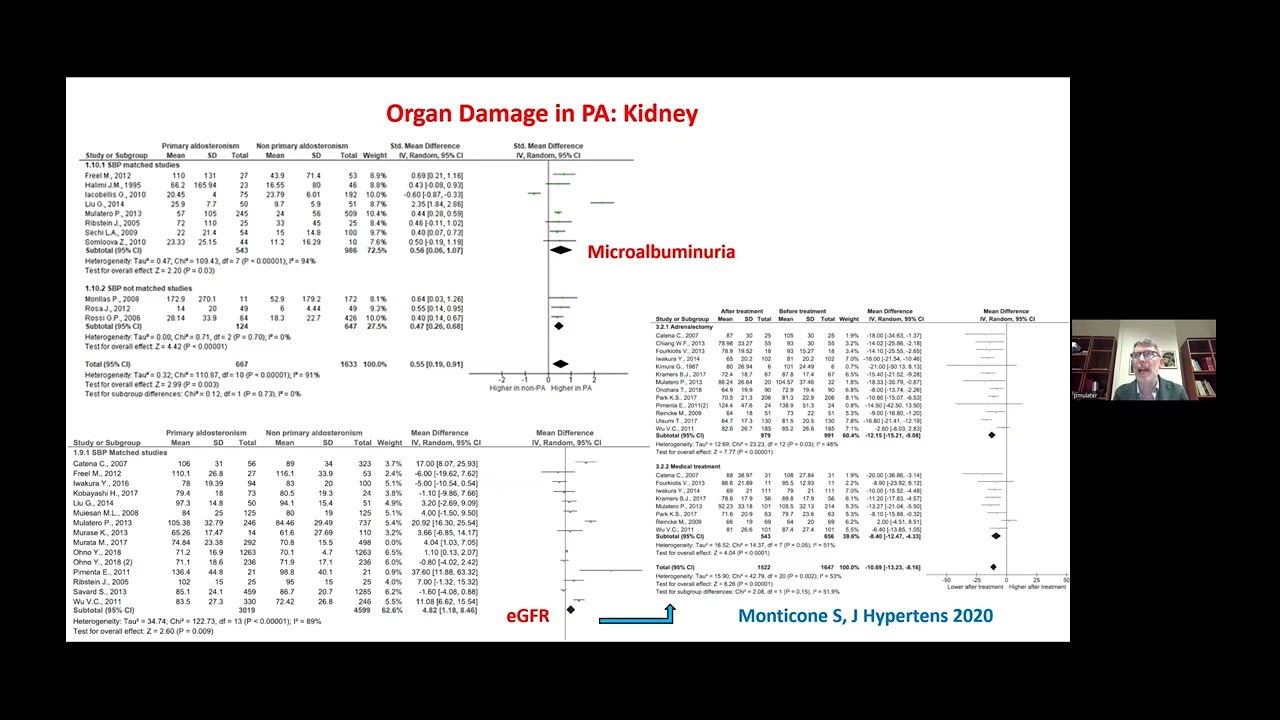L’iperaldosteronismo primitivo: quando sospettarlo e cosa fare