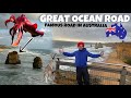 Australia Di GREAT OCEAN ROAD 🇦🇺😱 Melbourne to Apollo Bay | FAMOUS ROAD IN AUSTRALIA
