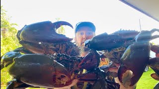 Giant Rusty Mud Crabs & Barramundi ￼Blue Salmon