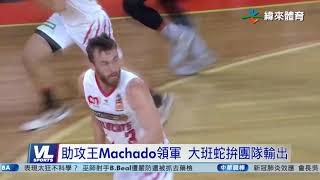 2/27 澳職季後賽 野貓vs.大班蛇率先登場