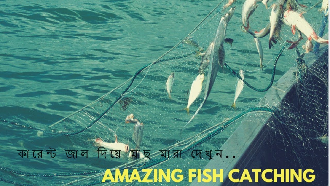Selvage Fisheries
