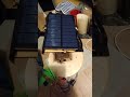 Tu705-year3-mini-project-"SOLAR-ALIGN"