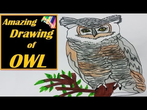 photo How To Draw An Owl Easy Youtube youtube